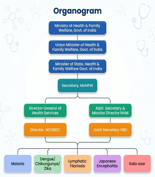NCVBDC Organogram